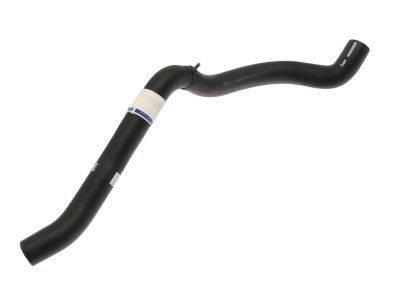 Ford 8G1Z-8C289-A Hose Assembly 8G1Z-8C289-A Ford Hose Assembly Product Photo 1 of 1