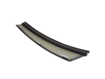 Lincoln 4W1Z-54255A34-AAA Moulding