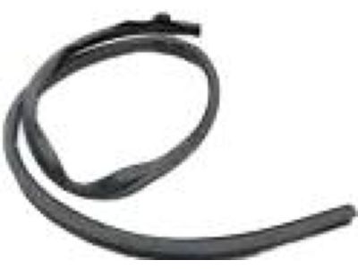 4L3Z-1851222-AA Ford Weatherstrip, Passenger Side Product Photo 1 of 2