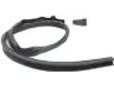 4L3Z-1851222-AA Ford Weatherstrip, Passenger Side Product Photo 2 of 2