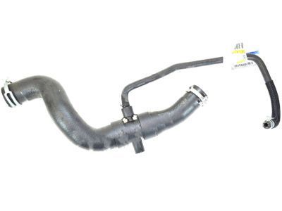 Lincoln 9E5Z-8260-F Hose Assembly