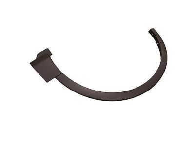Ford BB5Z-16039-AA Moulding