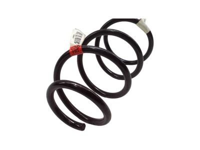 BV6Z-5310-F Ford Spring - Front Product Photo 1 of 3