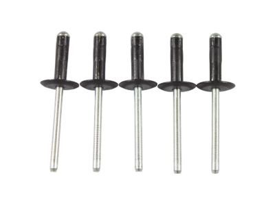 -W702710-S303 Ford End Cap Rivet Product Photo 1 of 1