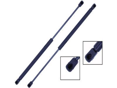 Lincoln 1W4Z-16C826-BA Lift Assembly - Gas