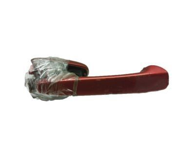 Ford AR3Z-6322404-AAPTM Handle Assembly - Door Outer