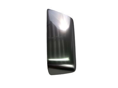 Mercury Mountaineer Mirror Cover - 6L2Z-17D743-CA