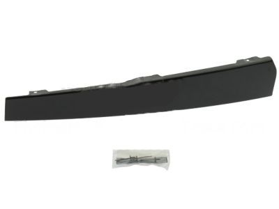Ford Expedition Door Moldings - 1L1Z-7820982-AA