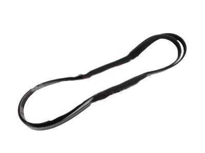 Lincoln Drive Belt - 6W7Z-8620-BA