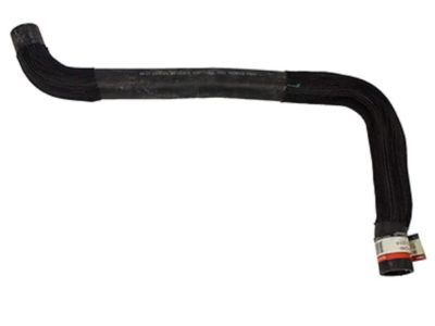Lincoln Radiator Hose - 8G1Z-8260-B