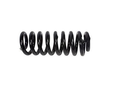 Ford F81Z-5310-EA Spring - Front