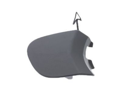 Ford GN1Z-17A900-AD Cover - Bumper