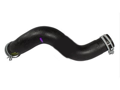 Mercury Mariner Coolant Reservoir Hose - 8L8Z-8286-A