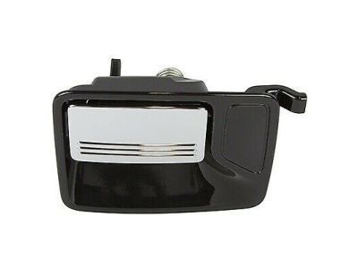 Ford DC3Z-3626605-BD Handle Assembly - Door Outer