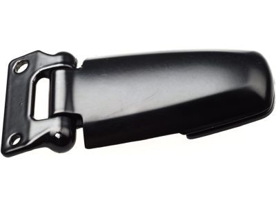 Lincoln 1L1Z-78420A69-AA Hinge - Glass
