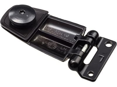 Lincoln 1L1Z-78420A69-AA Hinge - Glass