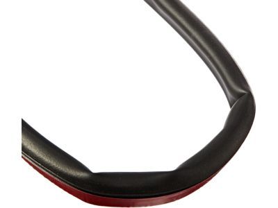 Ford F2UZ-1520518-C Weatherstrip Assembly - Door Opening