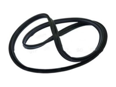 DS7Z-5443720-F Ford Weatherstrip, Rear Product Photo 1 of 1