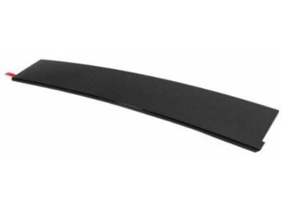 Lincoln AE9Z-7420554-A Moulding - Door Outside