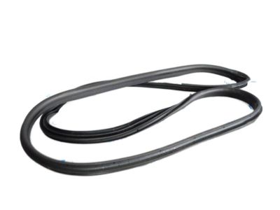 Ford CE8Z-5420708-A Weatherstrip On Body, Front Inner Passenger Side CE8Z-5420708-A Ford Weatherstrip On Body, Front Inner Passenger Side Product Photo 1 of 1