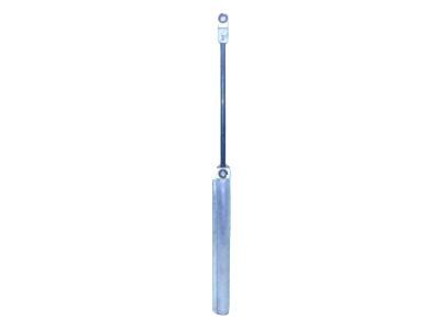 Ford Mustang Lift Support - 8R3Z-7650600-A