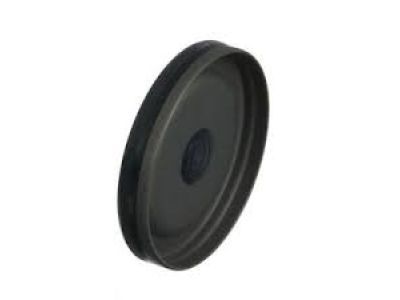 Mercury F77Z-6026-AA Plug - Expansion