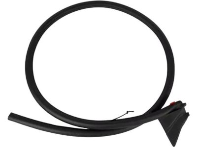 FR3Z-7620709-A Ford Weatherstrip Assembly - Door Opening, Driver Side Product Photo 4 of 4