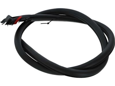 FR3Z-7620709-A Ford Weatherstrip Assembly - Door Opening, Driver Side Product Photo 3 of 4