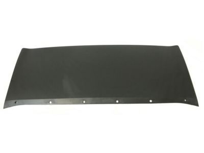 Ford CJ5Z-8419-AA Trim Molding, Front CJ5Z-8419-AA Ford Trim Molding, Front Product Photo 1 of 2