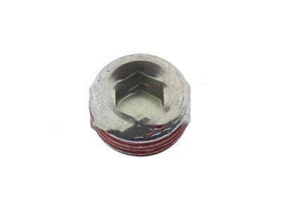 Lincoln -W701516-S901 Expansion Plug