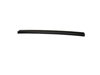 Ford CT4Z-16A238-A Weatherstrip