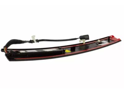 CA5Z-5420555-BA Ford Moulding - Door Outside, Driver Side Product Photo 4 of 4