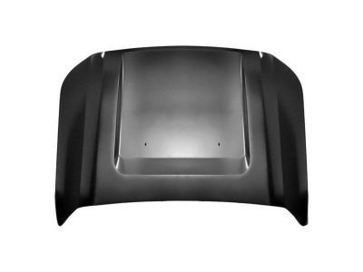 Ford BC3Z-16612-A Hood Assy