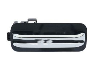 Ford FL3Z-1522404-EJPTM Handle Assembly - Door Outer
