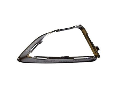 Ford BE5Z-17E811-KA Grille - Bumper