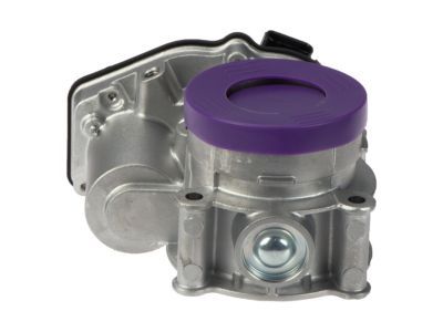 Lincoln Throttle Body - DS7Z-9E926-D