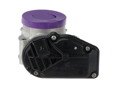 Lincoln Throttle Body - DS7Z-9E926-D