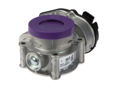 Lincoln Throttle Body - DS7Z-9E926-D