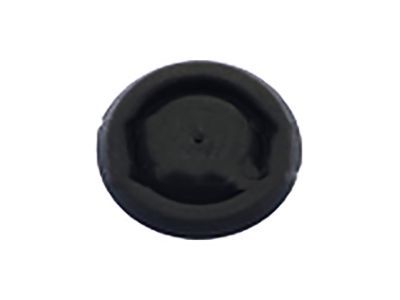 Ford -W709643-S300 Plug
