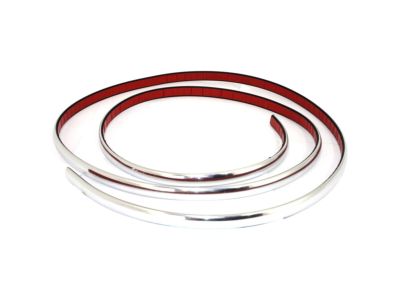 Ford YW7Z-17C829-BA Molding - Bumper Bar