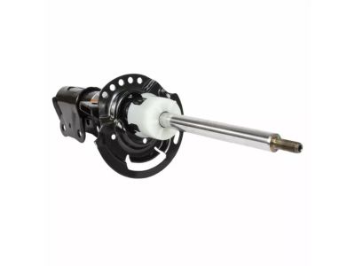 Ford DG9Z-18124-G Shock Absorber Assembly, Passenger Side DG9Z-18124-G Ford Shock Absorber Assembly, Passenger Side Product Photo 1 of 3