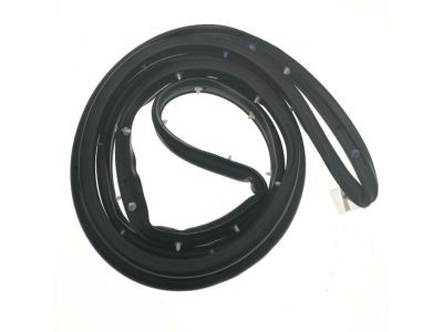 DS7Z-5420531-C Ford Door Weatherstrip, Front Outer Driver Side Product Photo 2 of 2