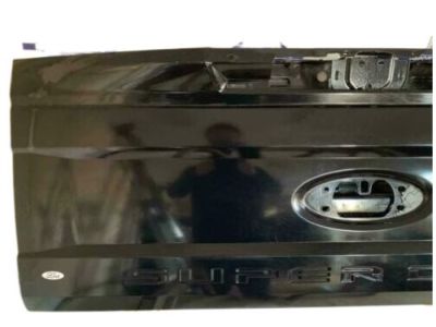 Ford HC3Z-9940700-A Tailgate Assembly