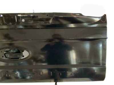 Ford HC3Z-9940700-A Tailgate Assembly