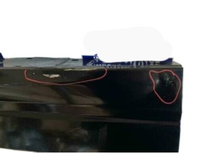 Ford HC3Z-9940700-A Tailgate Assembly