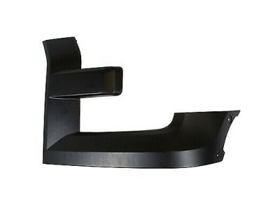 Ford FL3Z-17C755-CPTM Molding - Bumper Bar