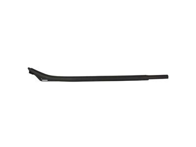 FL3Z-1625596-C Ford Weatherstrip - Door Glass Channel, Passenger Side Product Photo 1 of 1