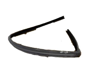 Ford YS4Z-7425766-CA Weatherstrip Assembly - Door