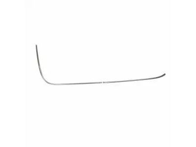 2L1Z-78253A21-AA Ford Retainer - Weatherstrip, Driver Side Product Photo 1 of 1