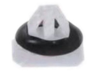 -W703069-S300 Ford Fender Nut, Rear Product Photo 1 of 1